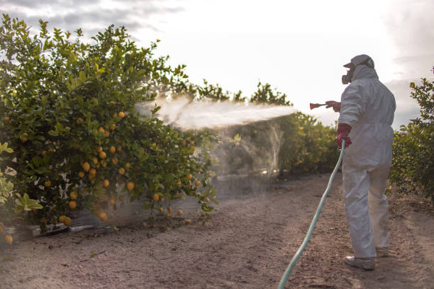  Maria Stein, OH Pest Control Pros