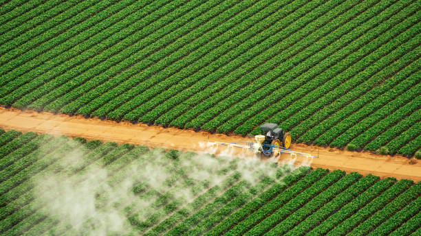 Best Pest Removal Services  in Maria Stein, OH