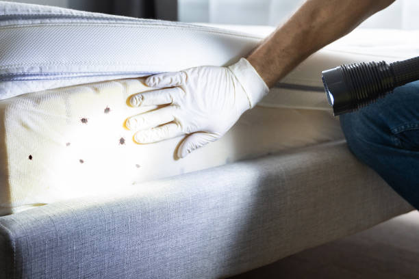 Best Pest Inspection Near Me  in Maria Stein, OH